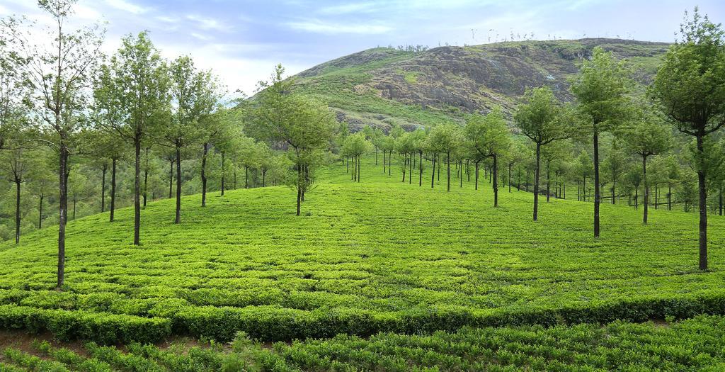 Elysium Garden Hotel Munnar Exterior foto
