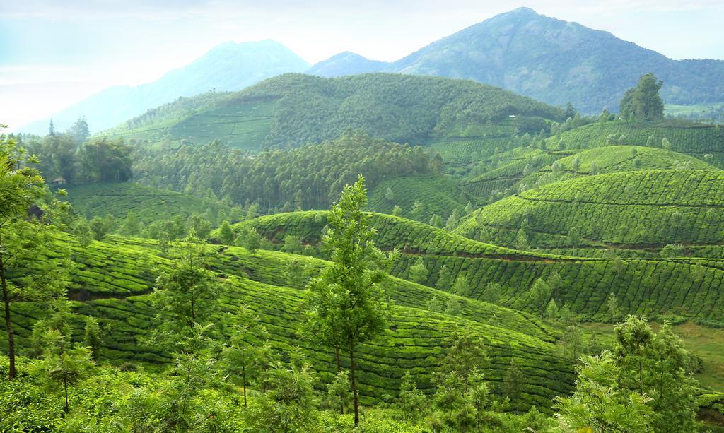 Elysium Garden Hotel Munnar Exterior foto