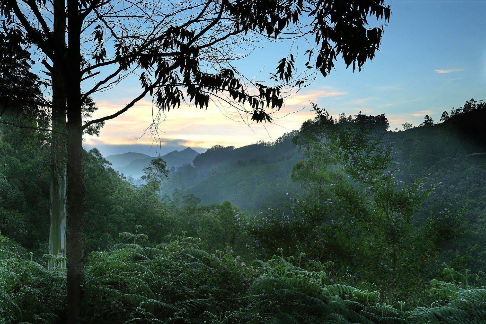 Elysium Garden Hotel Munnar Exterior foto